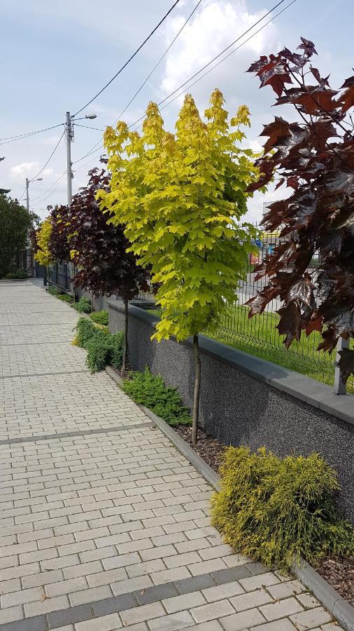 Apartament Angelo Сосновец Экстерьер фото